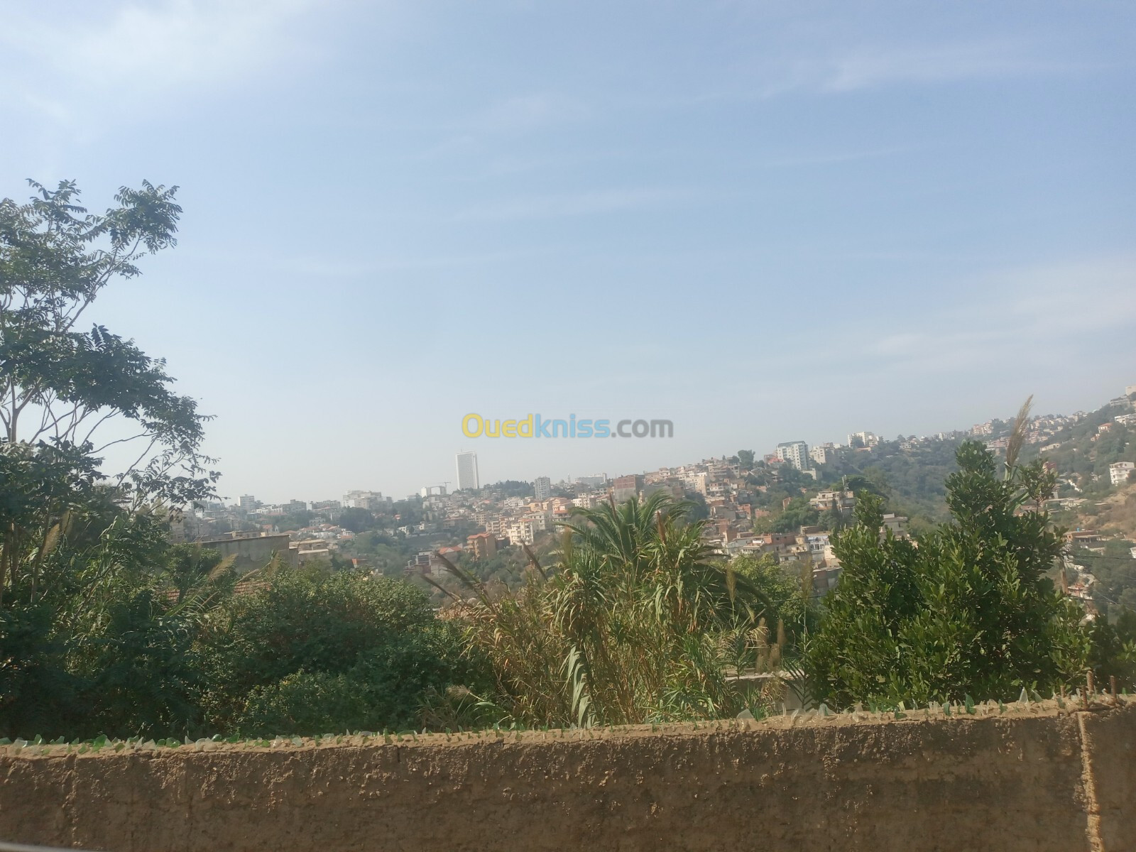 Vente Terrain Alger El biar