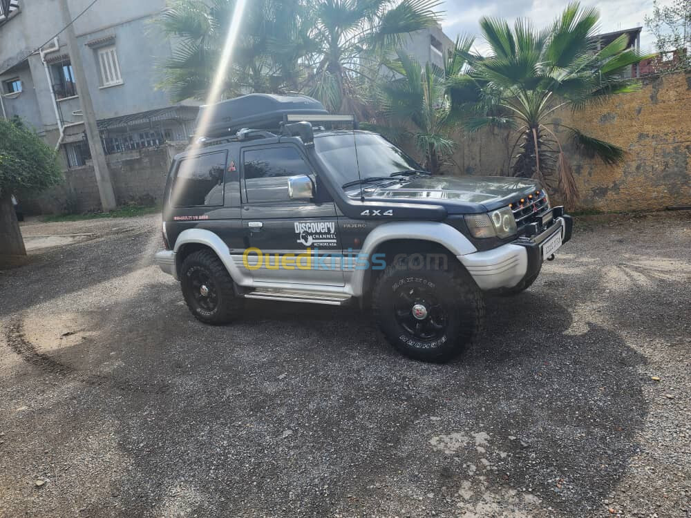 Mitsubishi Pajero Court 1993 