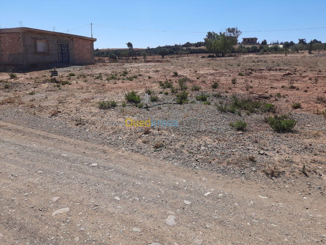 Vente Terrain Mostaganem Sidi lakhdaara