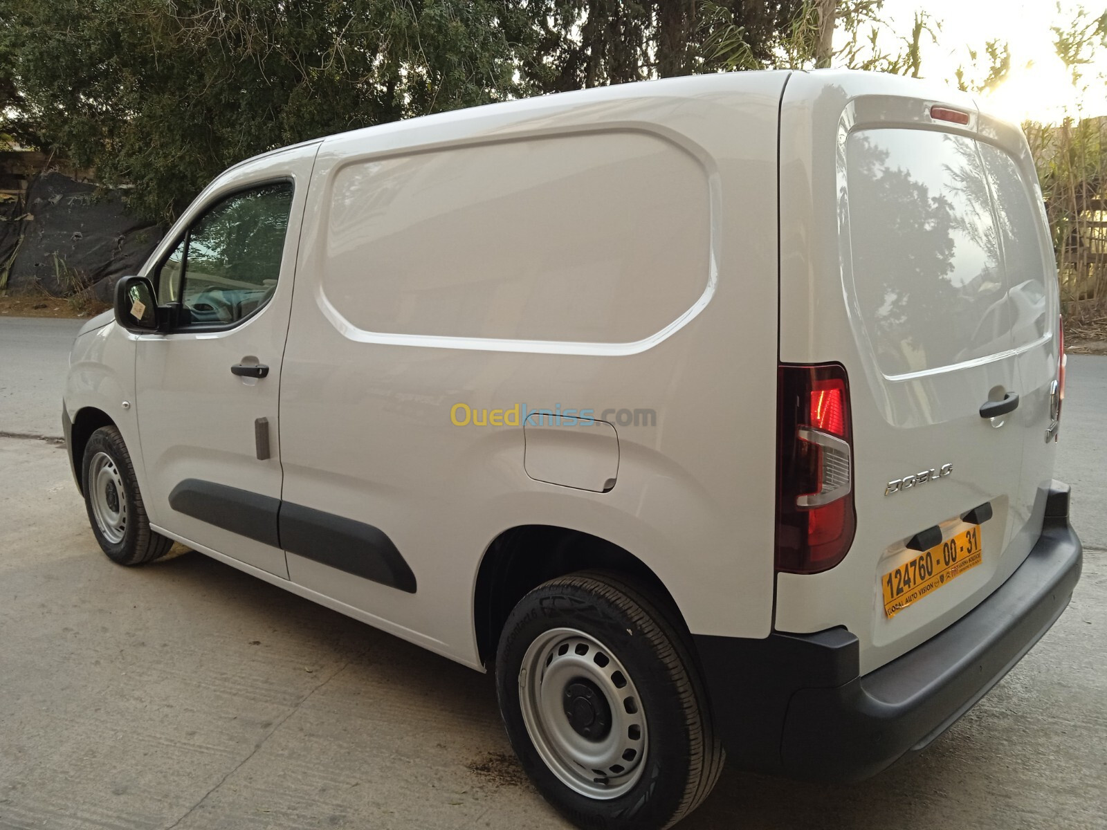 Fiat Professional Doblo 2024 Dz