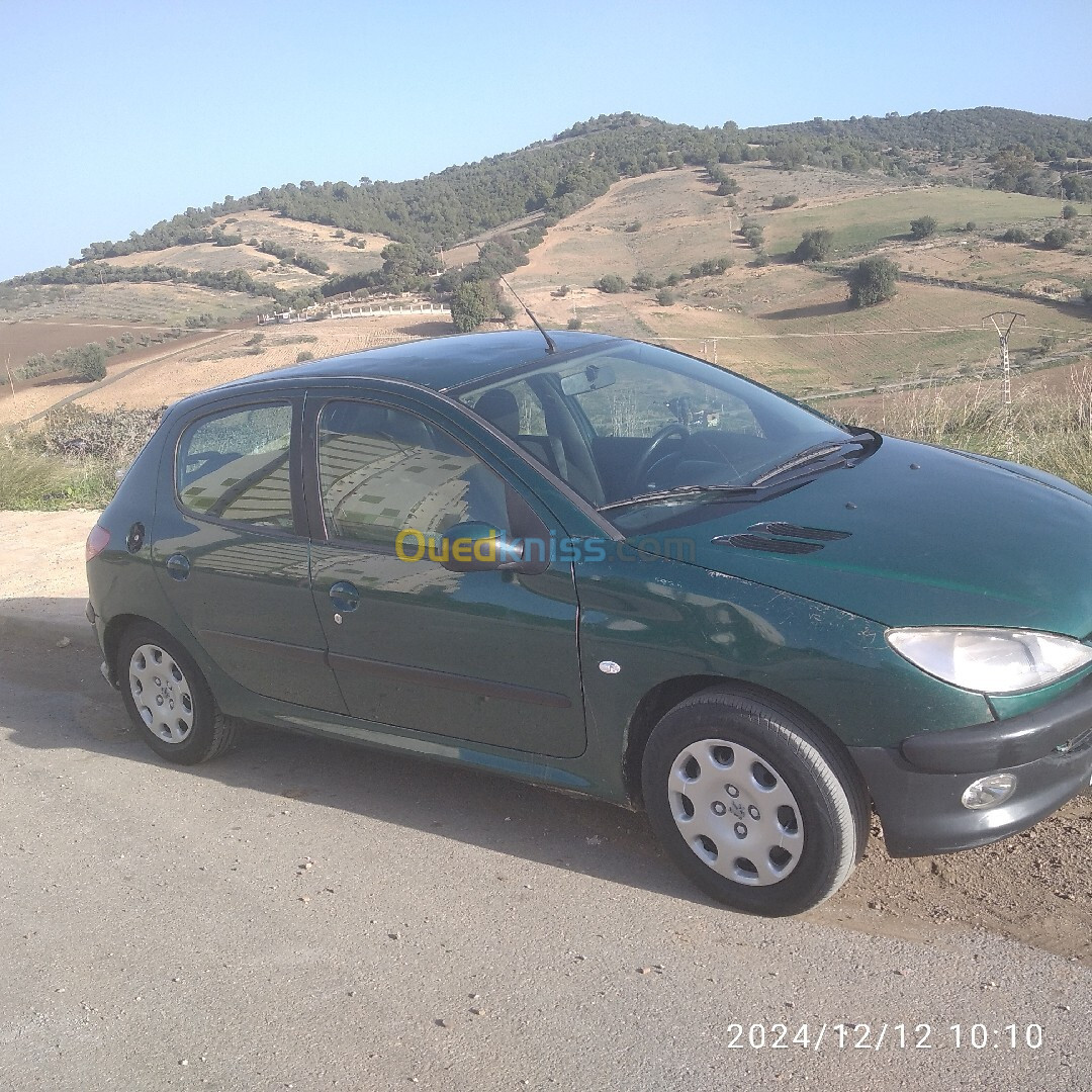 Peugeot 206 2004 206