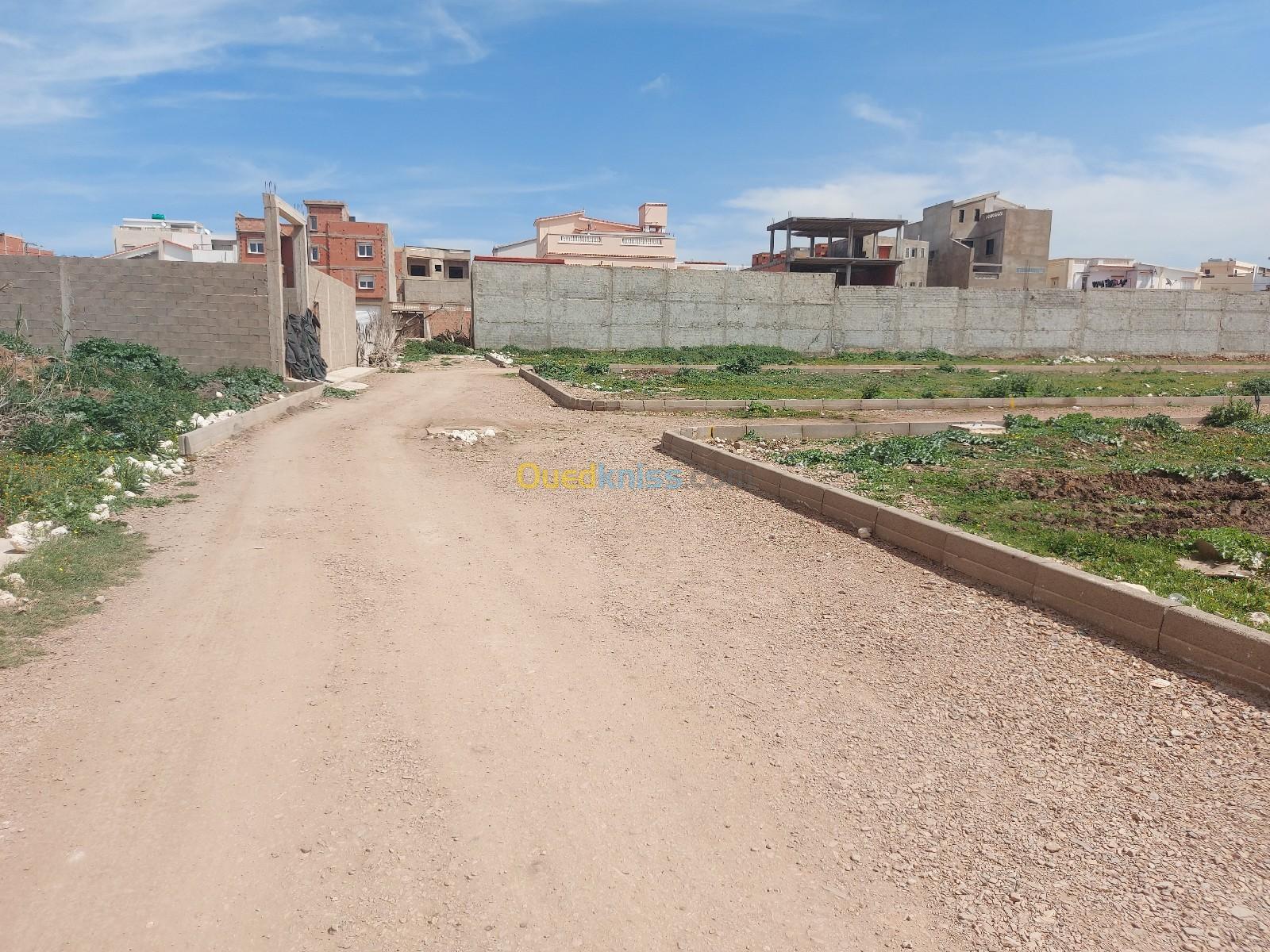 Vente Terrain Agricole Mostaganem Mesra