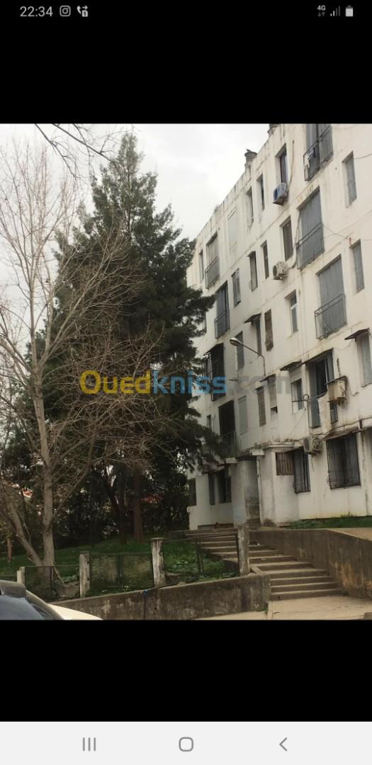 Vente Appartement F3 Skikda Skikda