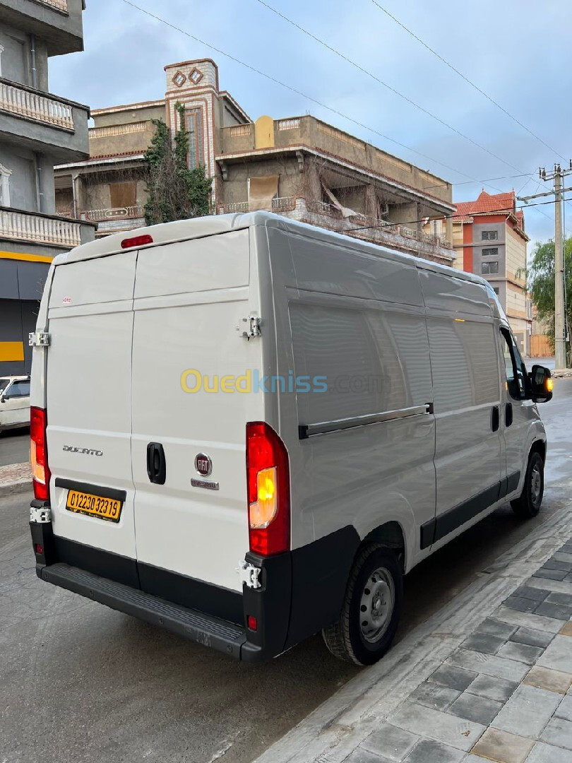 ducato Fiat 2023