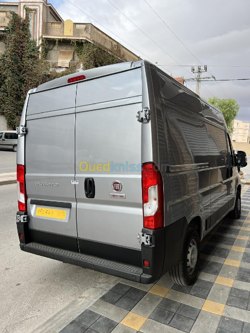 ducato Fiat 2024