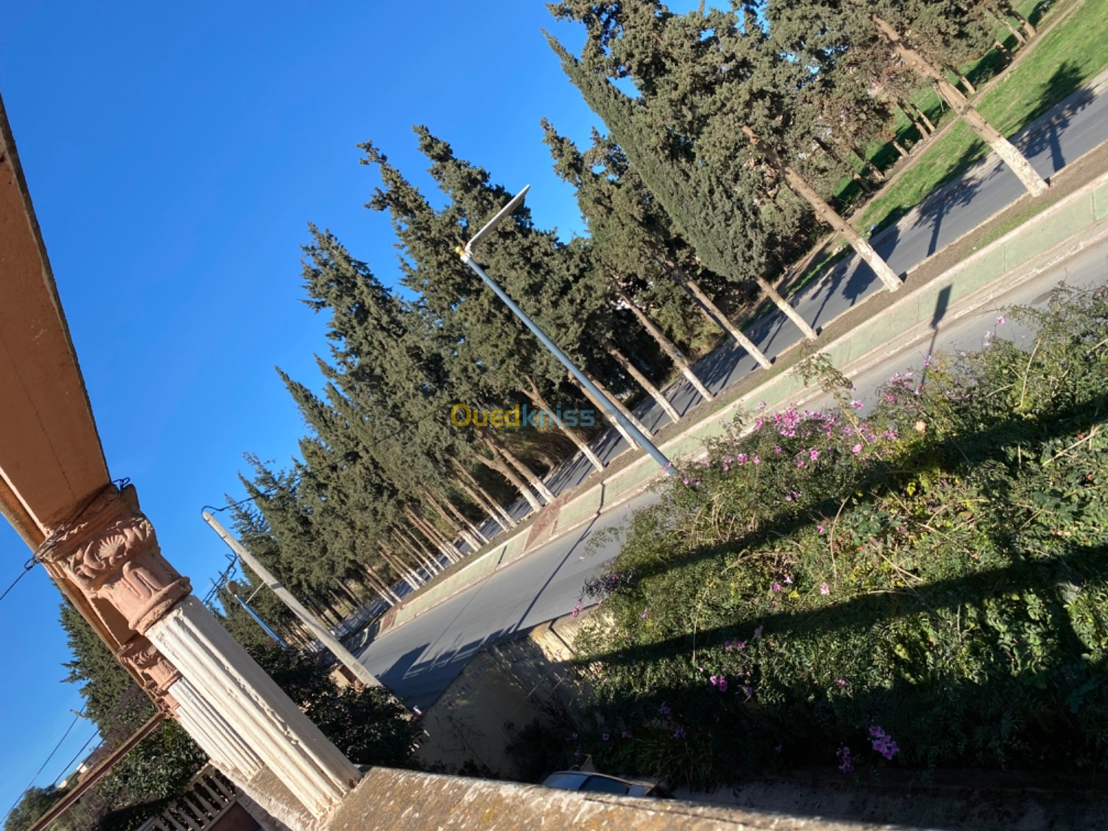 Vente Villa Tiaret Tiaret