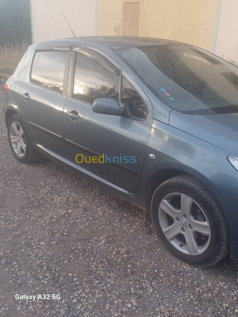 Peugeot 307 2007 307