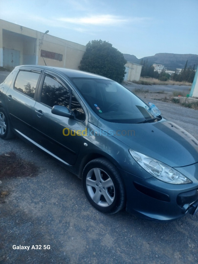 Peugeot 207 2007 207