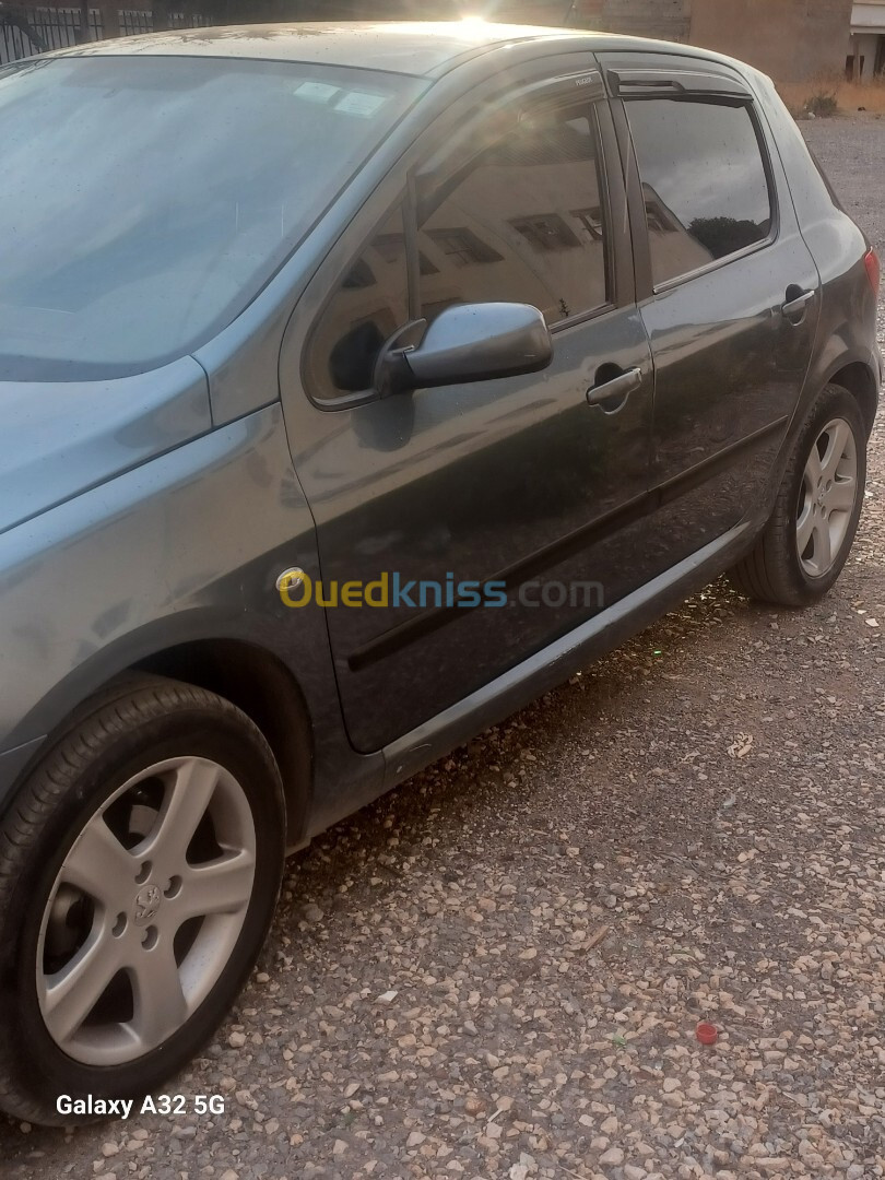 Peugeot 307 2007 307