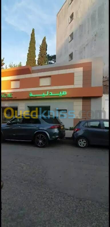 Location Appartement F4 Alger Ben aknoun