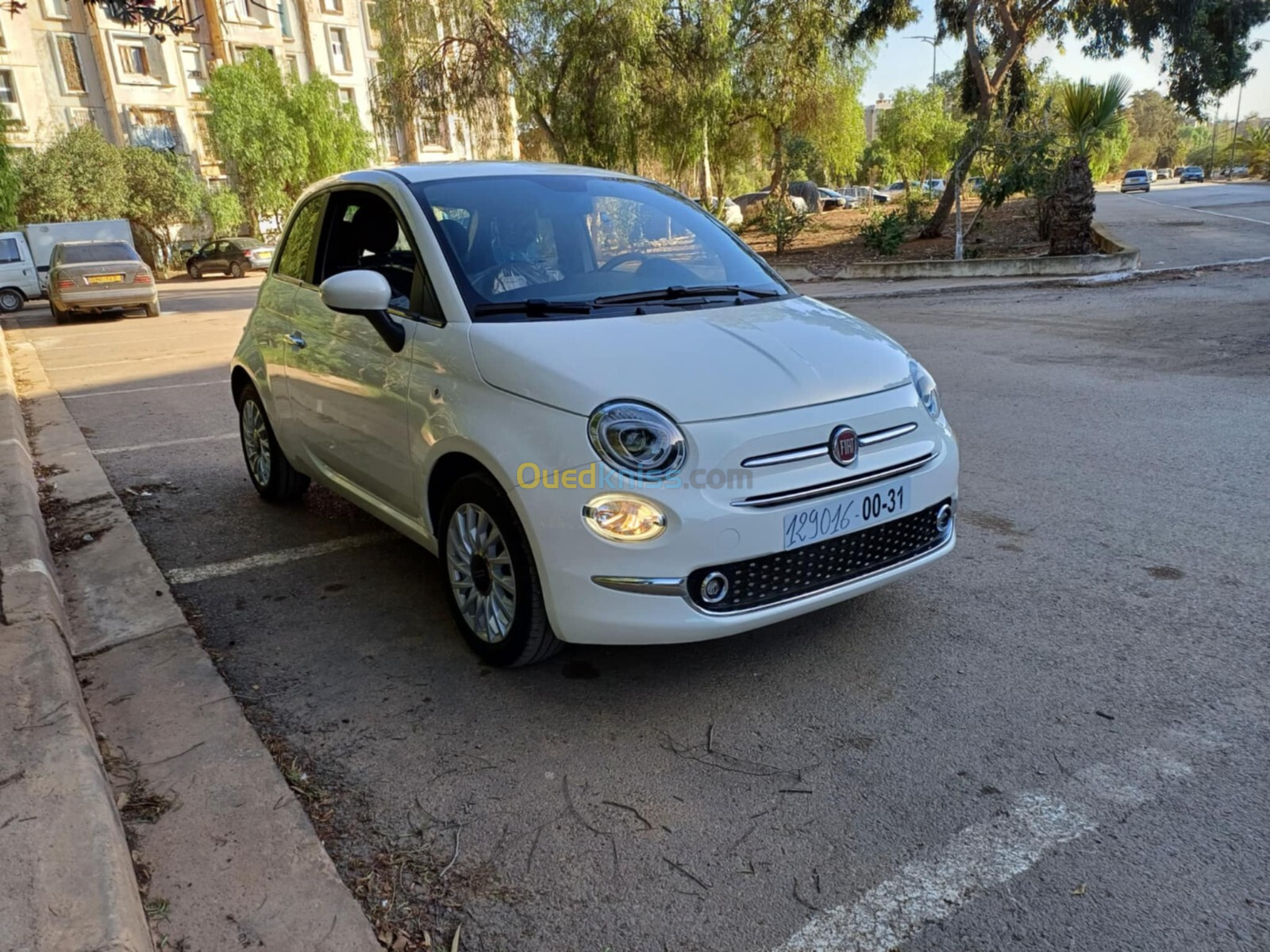 Fiat 500 2024 Dolcevita