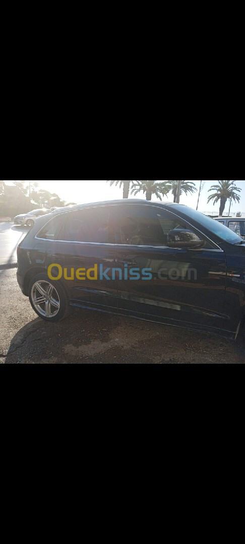 Audi Q5 2009 