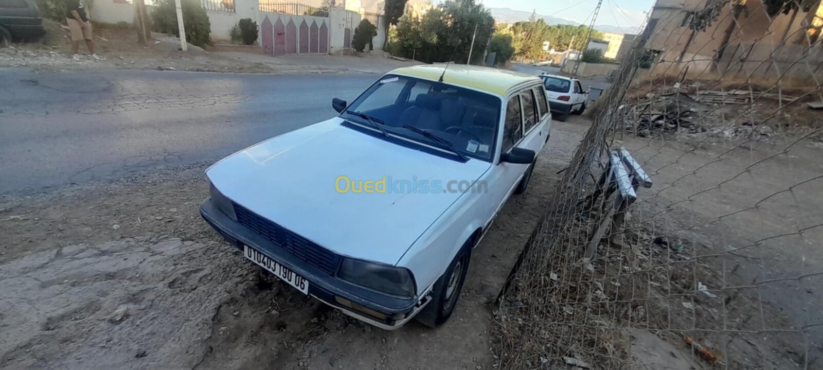 Peugeot 505 1990 505