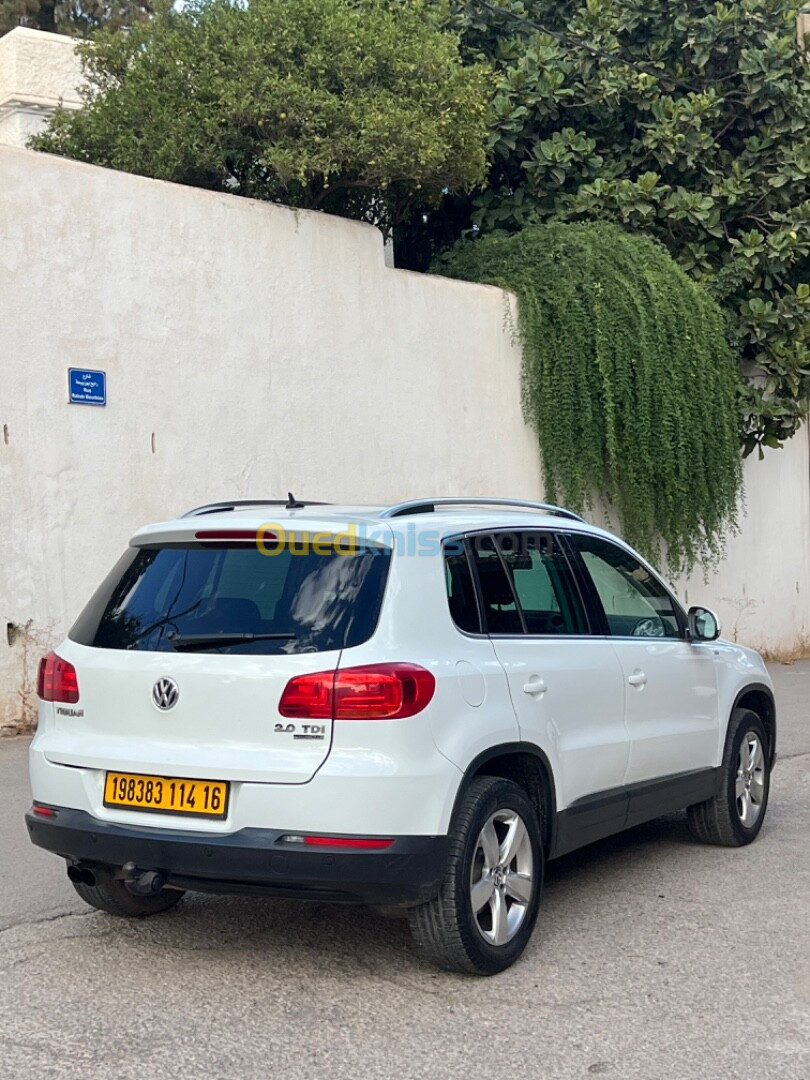 Volkswagen Tiguan 2014 Cup