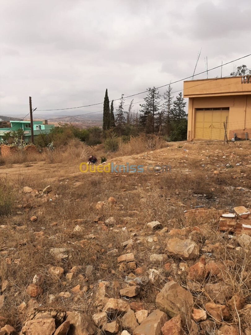 Vente Terrain Tlemcen Nedroma