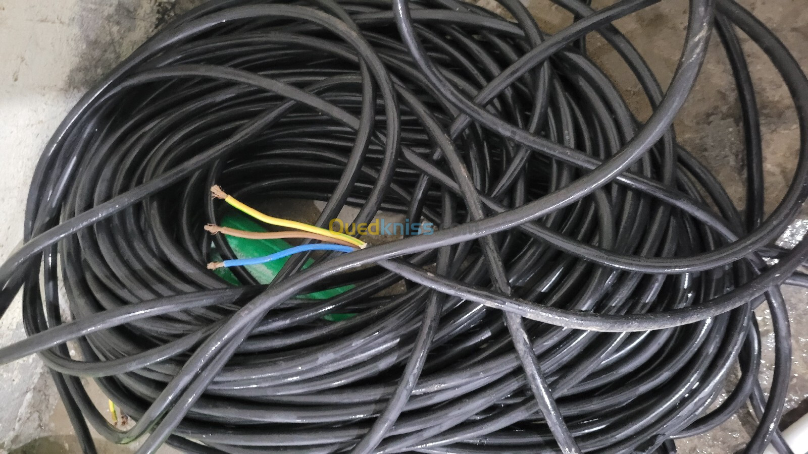 Cable 100 mètre 