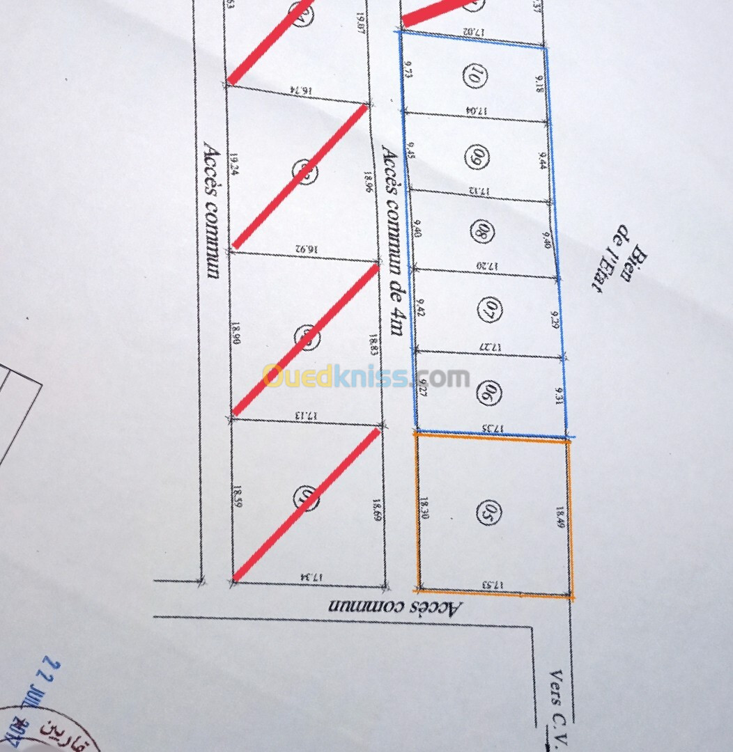 Vente Terrain Blida Bougara