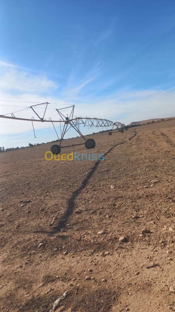 Vente Terrain Agricole Djelfa Ain oussara