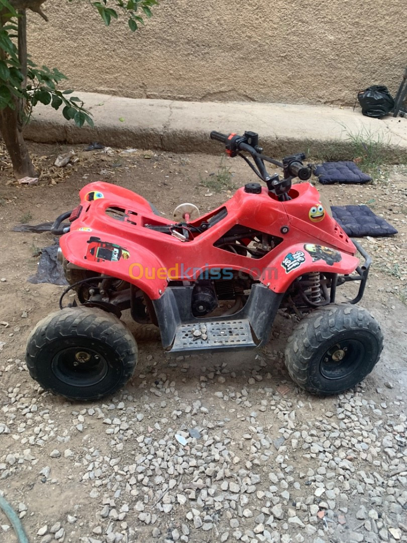 China Quad 50cc 2015