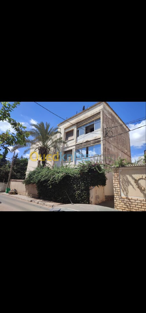 Vente Appartement F3 Alger Hydra