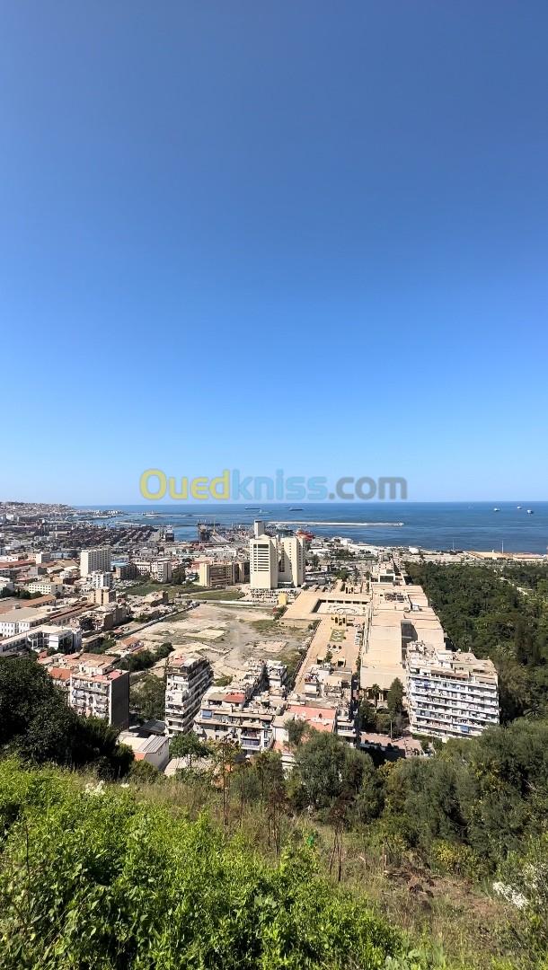 بيع شقة 3 غرف الجزائر المدنية