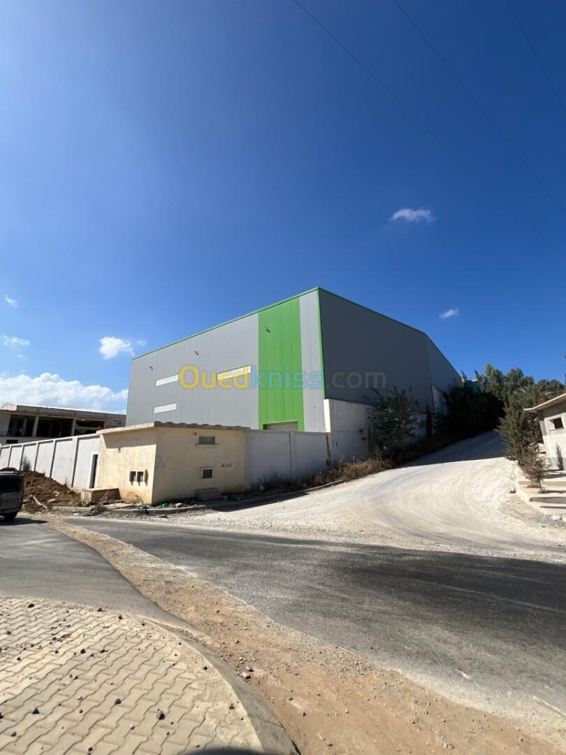 Location Hangar Tipaza Douaouda