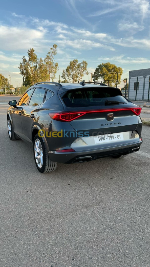 Seat Cupra formentor 2023 V