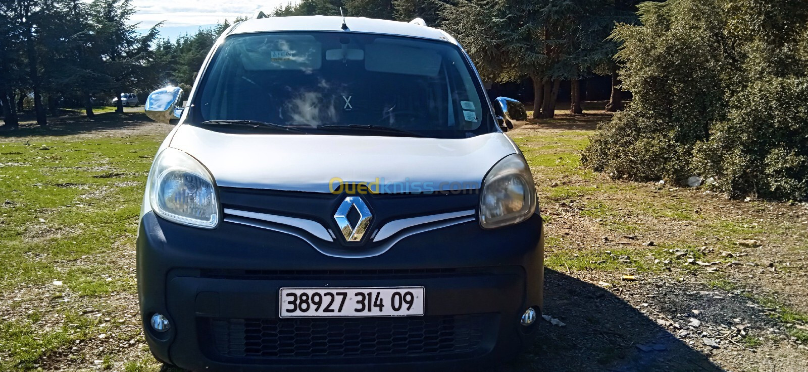 Renault Kangoo 2014 