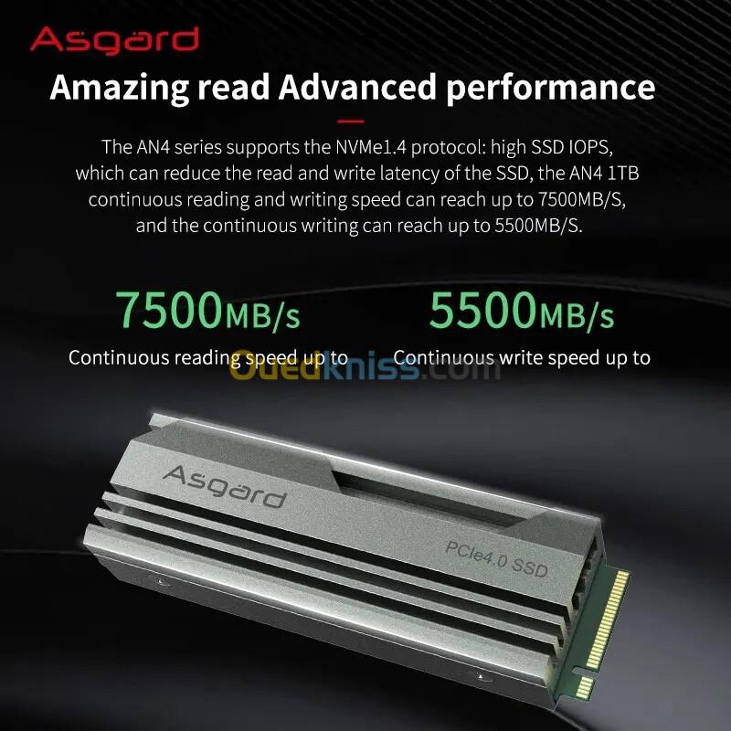 Asgard M.2 Pcle 4.0 NVMe SSD AN4 GEN4X4 M.2 2280