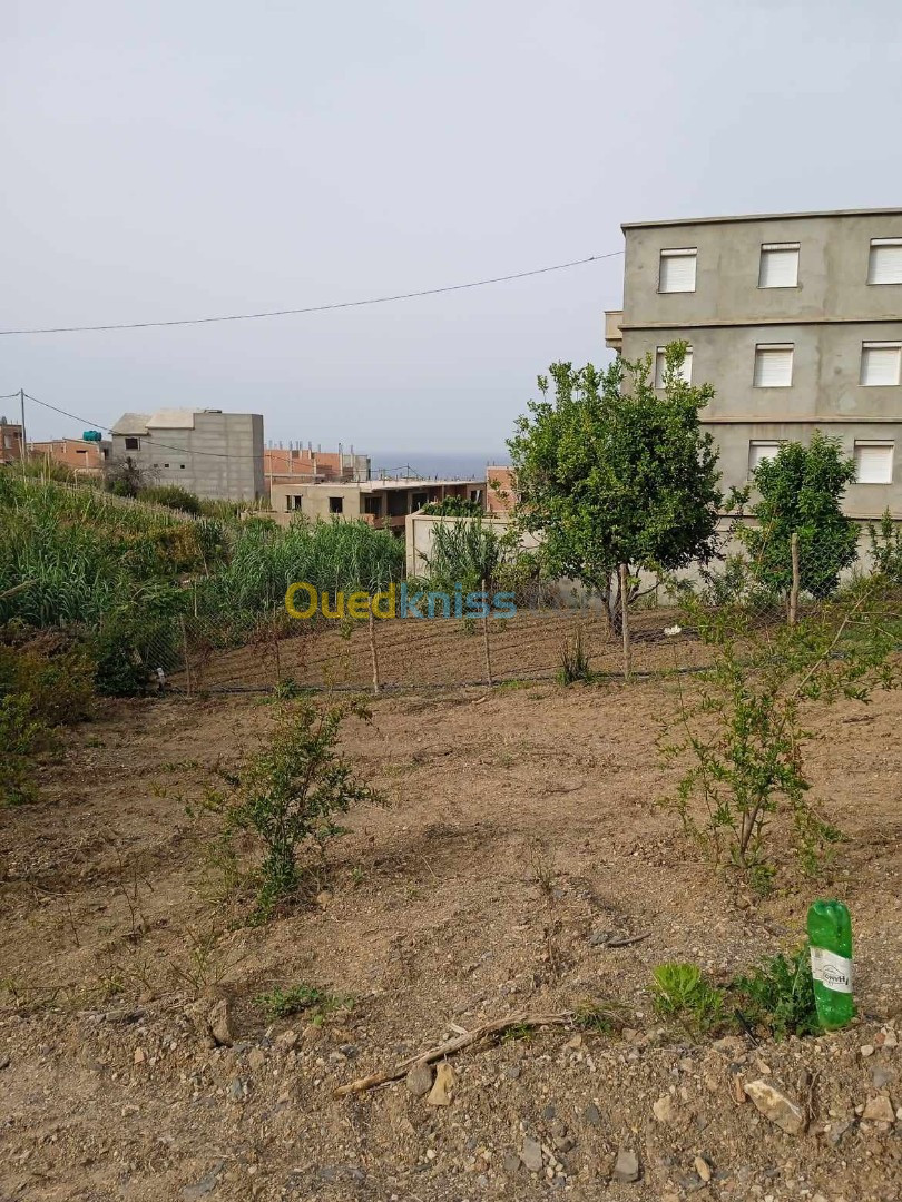 Vente Terrain Tipaza Larhat