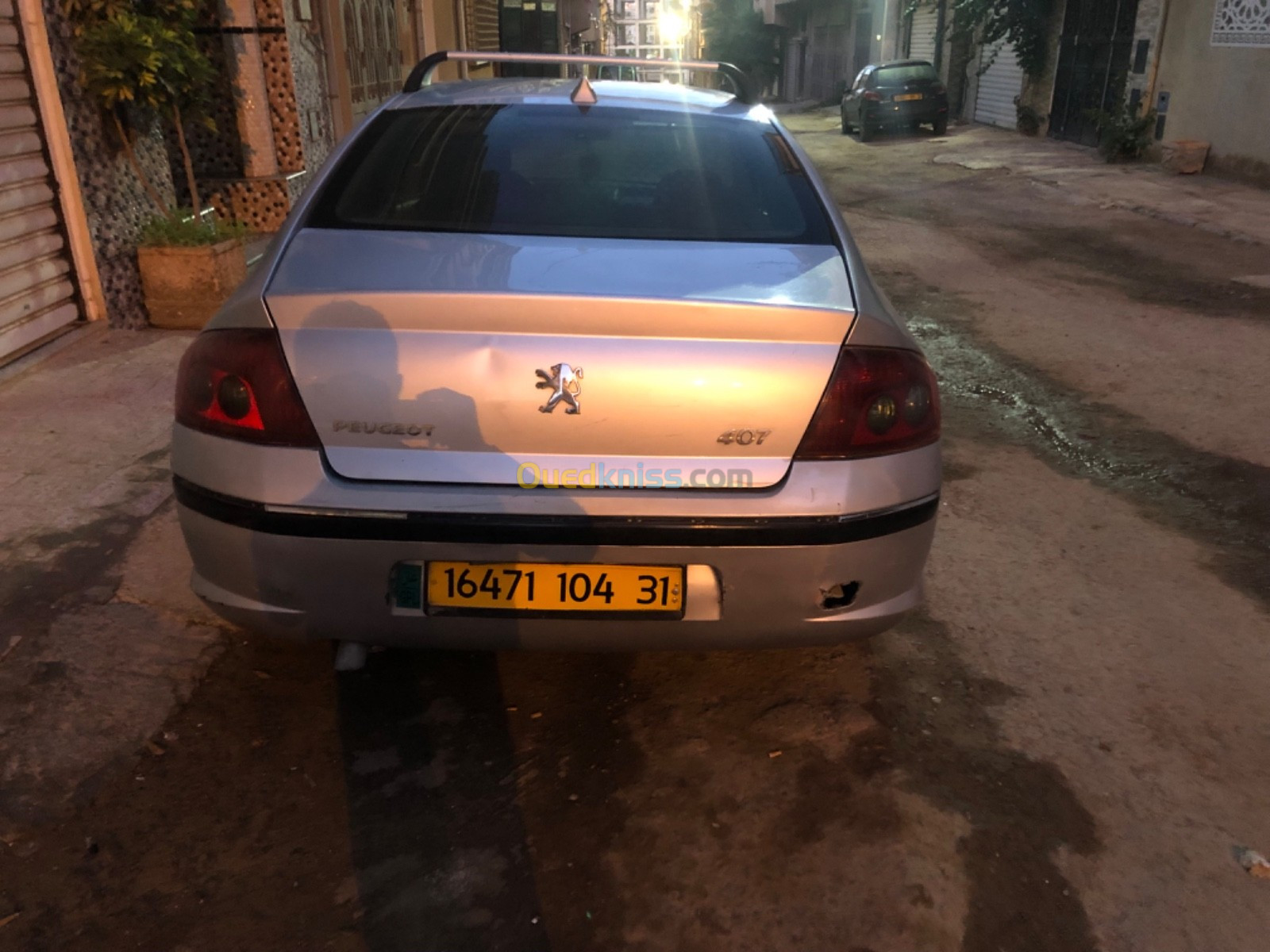 Peugeot 407 2004 407