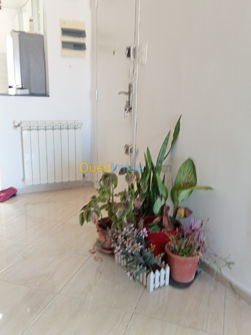 Location Appartement F3 Alger Hydra