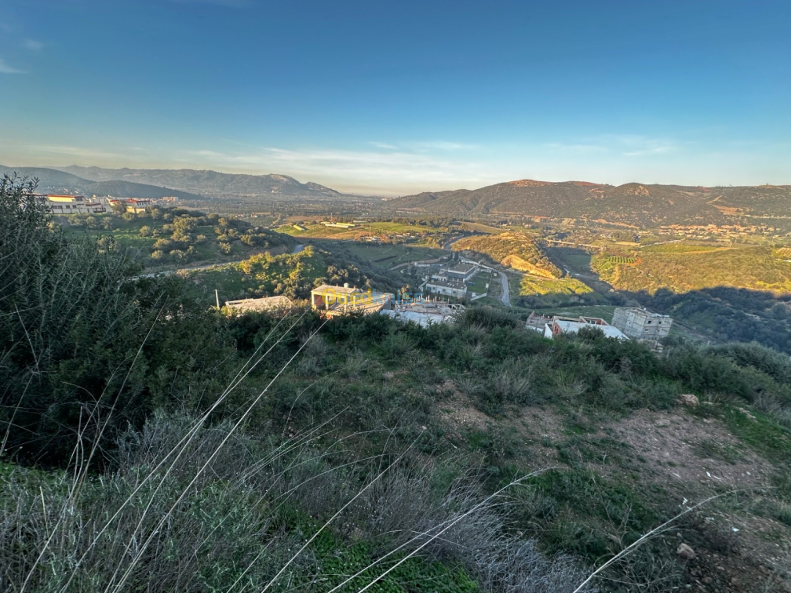 Vente Terrain Boumerdès Beni amrane