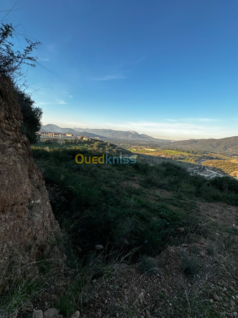 Vente Terrain Boumerdès Beni amrane