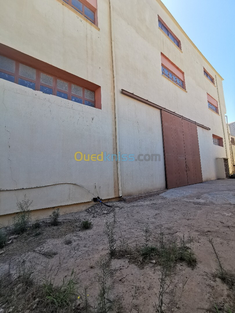 Location Hangar Tlemcen Chetouane