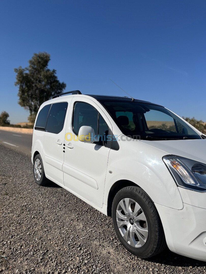 Citroen Berlingo 2015 Berlingo