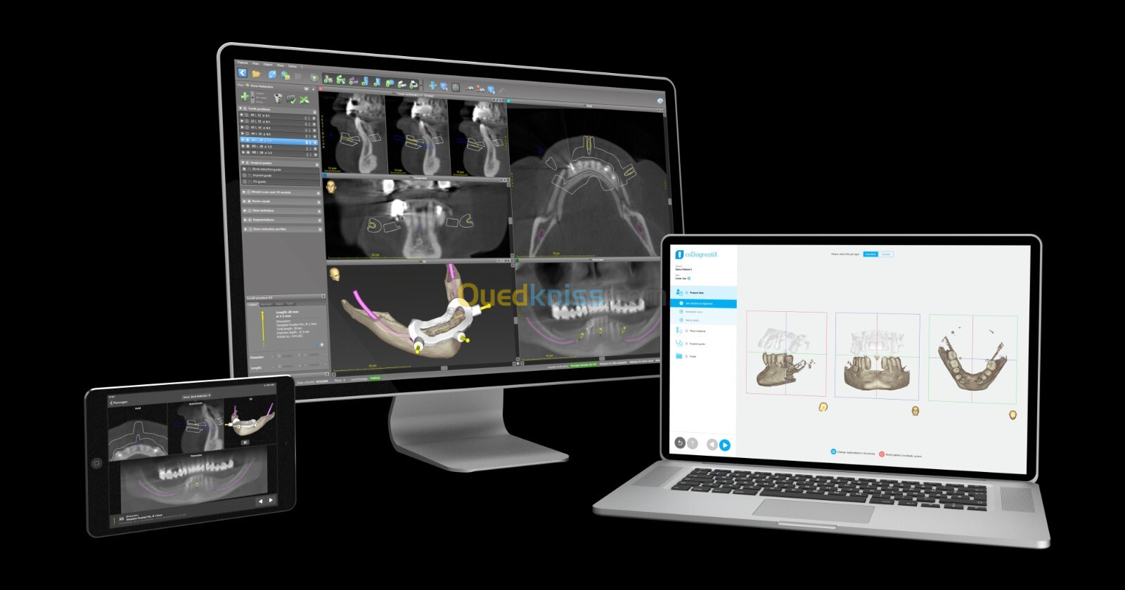 coDiagnostiX v10.8/2024