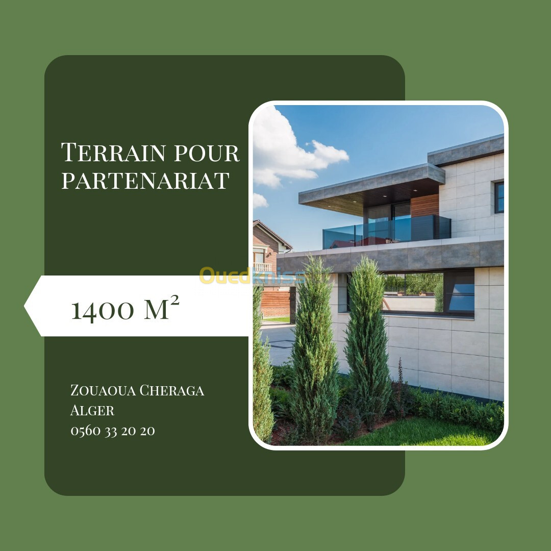 Vente Terrain Alger Cheraga