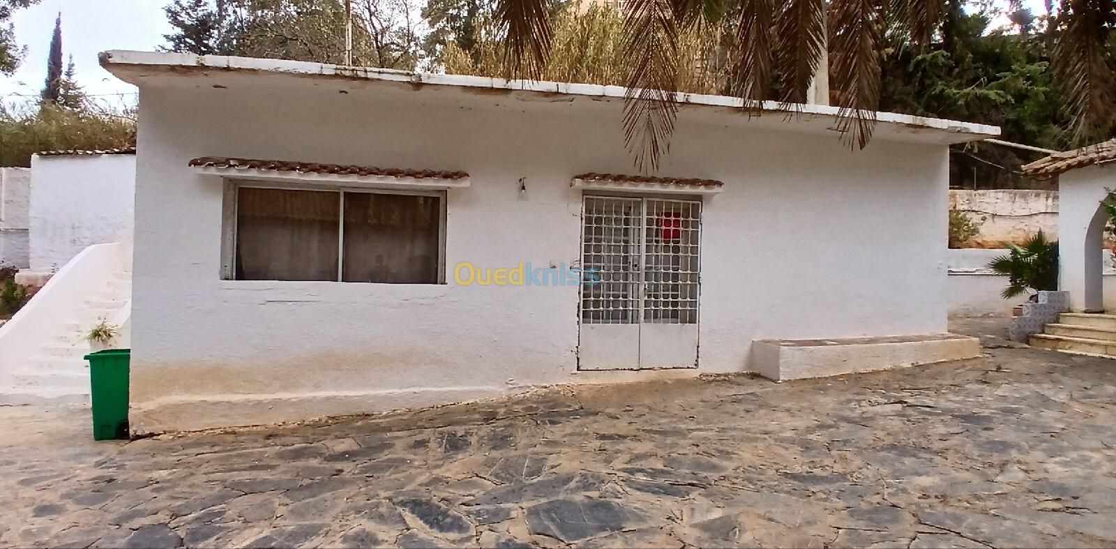 Vente Villa Alger Saoula