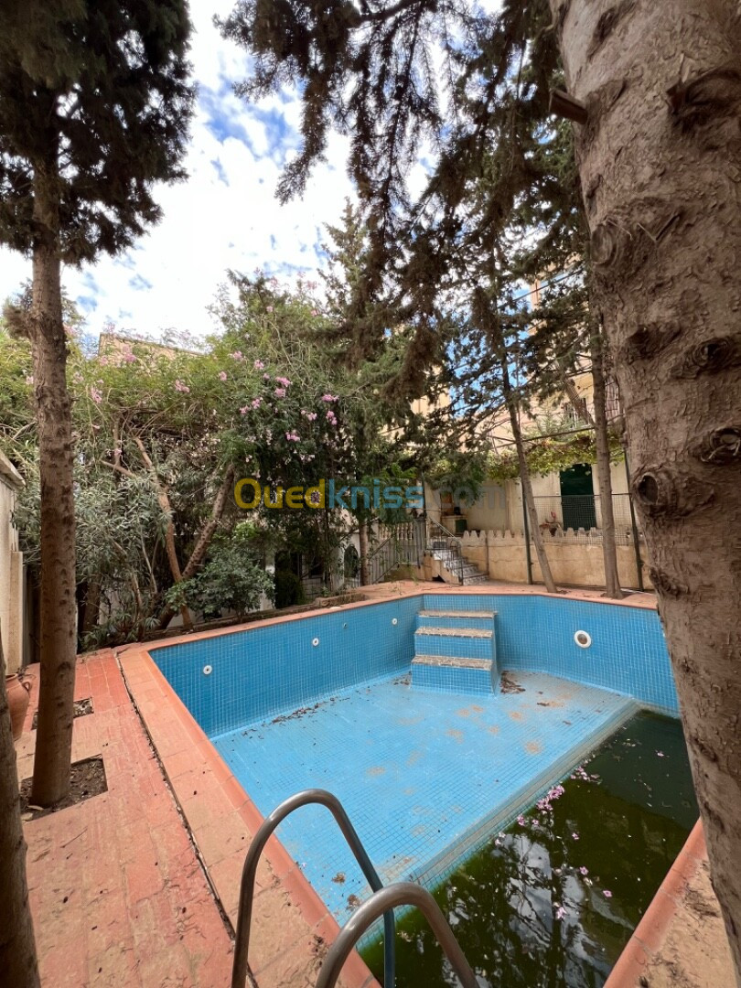 Vente Villa Alger Ouled fayet