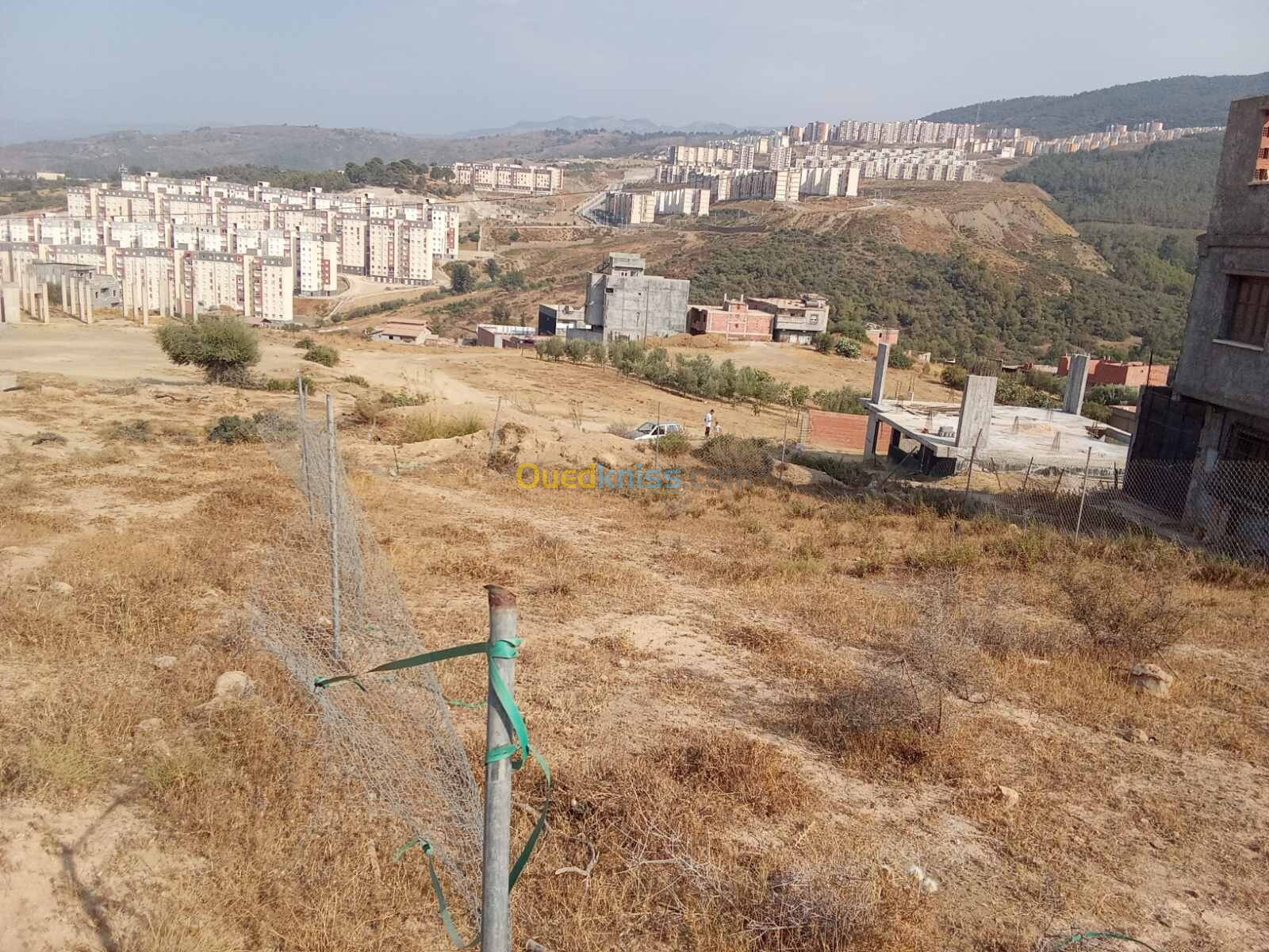 Vente Terrain Blida Bouinan