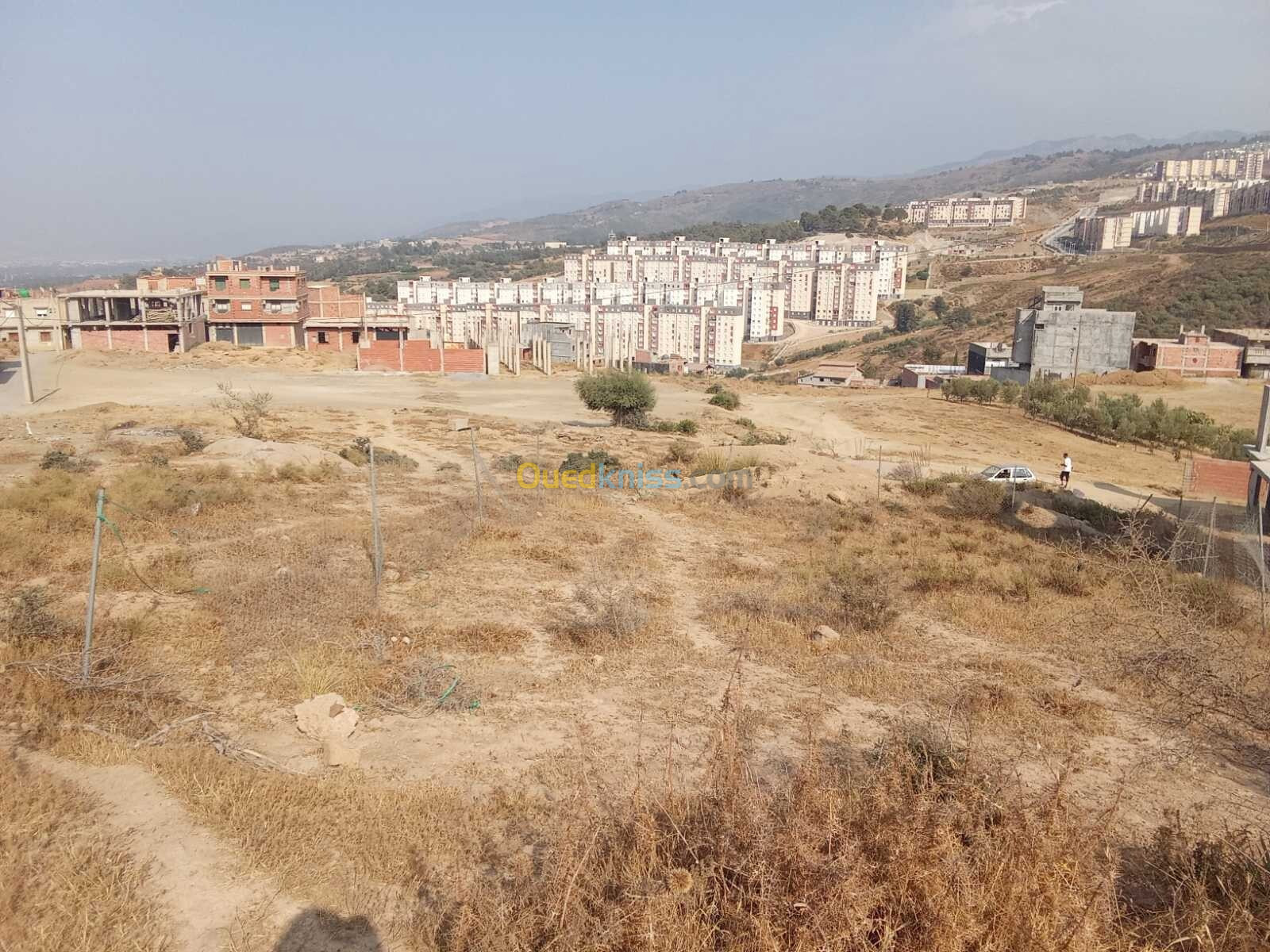 Vente Terrain Blida Bouinan