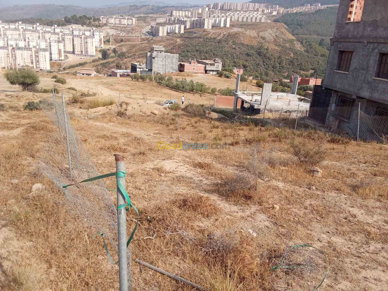 Vente Terrain Blida Bouinan