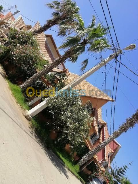 Vente Duplex F7 Alger Ain taya