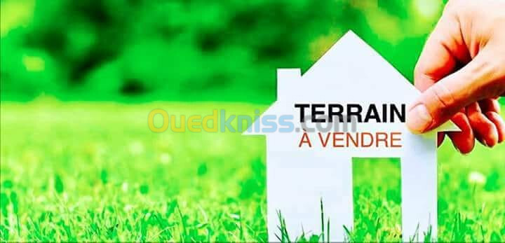 Vente Terrain Tissemsilt Tissemsilt