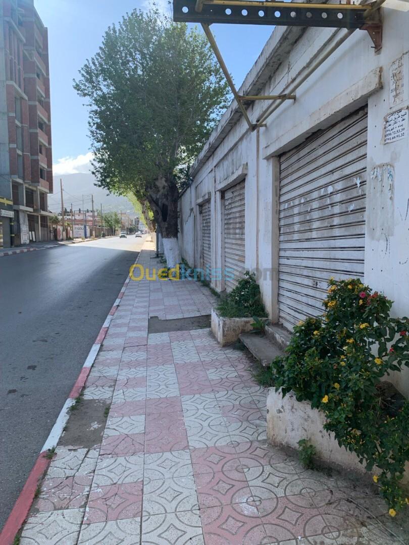 Location Appartement F1 Blida Blida