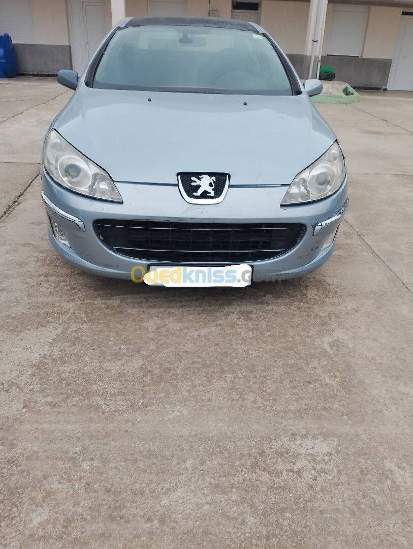 Peugeot 407 2007 407