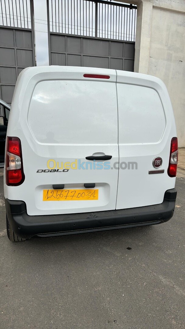 Fiat Professional Doblo 2024 Dz