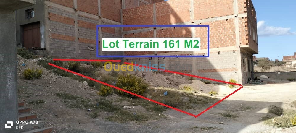 Vente Terrain Tlemcen Souahlia