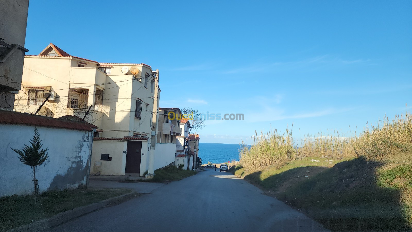 Vente Terrain Alger El marsa